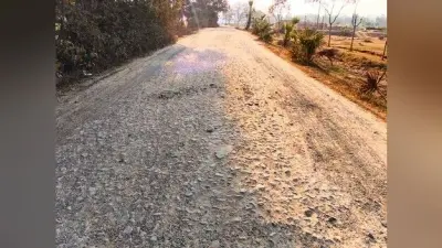 गड्ढों और उखड़ी परतों से ग्रामीण और वाहन चालक परेशान
