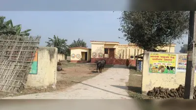 चंदवा उपस्वास्थ्य केंद्र परिसर बना तबेला, कार्रवाई की मांग