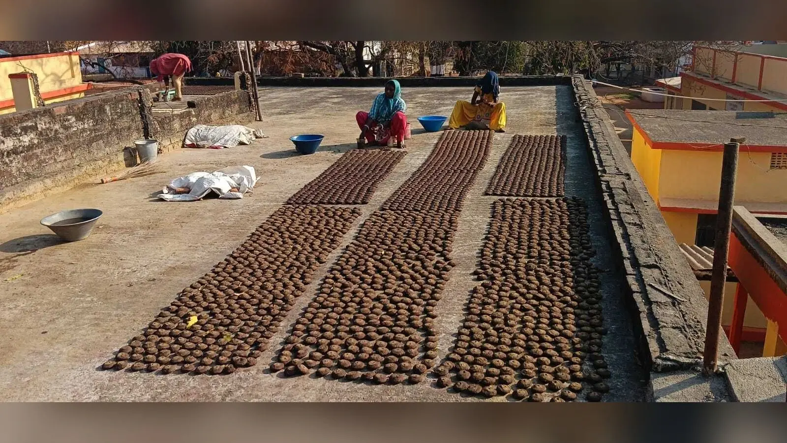 East Singhbhum News : चाकुलिया गौशाला में बनी सामग्री से देश भर में होगा होलिका दहन