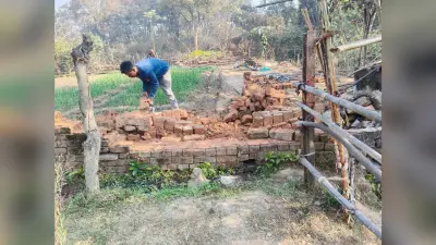 Bokaro News : तुरियो व तारमी के गांवों में हाथियों का उत्पात, दहशत में लोग