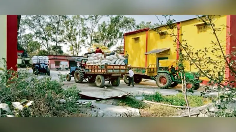 East Singhbhum News : पटमदा लैंपस का गोदाम फुल 25 दिनों से धान की खरीद बंद