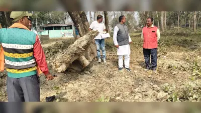 मॉडल प्रखंड भवन निर्माण में अवैध पेड़ कटाई