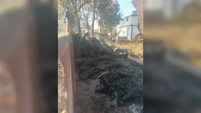 Giridih News :रेंज कार्यालय परिसर में लगी आग, लाखों की बेशकीमती लकड़ी जली