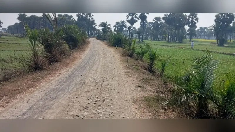 फुलबड़िया पंचायत में जर्जर सड़क से लोगों का मुश्किल भरा सफर