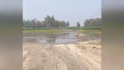जोड़घाट नदी के उपर पुल नहीं रहने से बड़ी आबादी को आवागमन में परेशानी