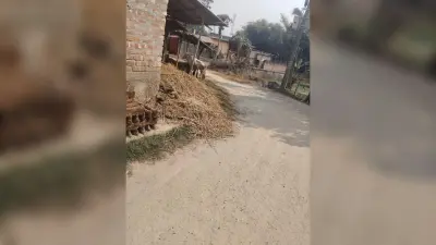 सिंगारमोहिनी-परमानपुर सड़क पर अतिक्रमण से आवागमन में कठिनाई