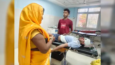 सड़क हादसे में बाइक सवार दो युवक जख्मी