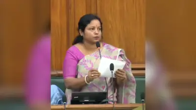 गर्मी से पहले बिजली व्यवस्था दुरुस्त करे, विधायक