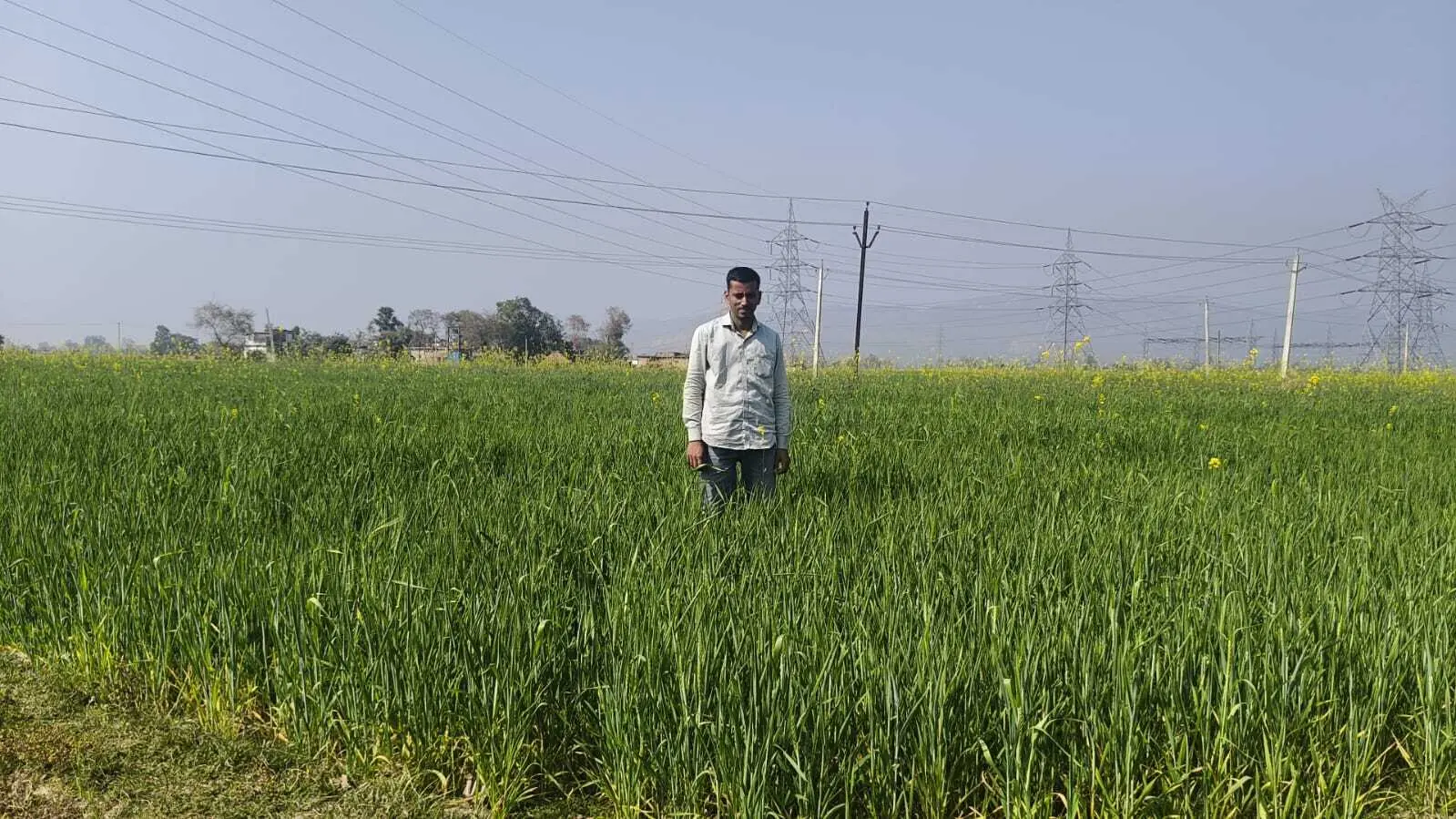 कुकुरझप डैम में घटते जलस्तर से सिंचाई प्रभावित, किसान परेशान