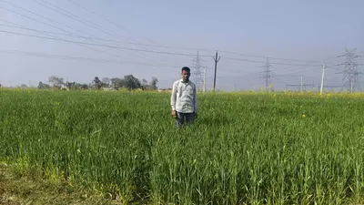 कुकुरझप डैम में घटते जलस्तर से सिंचाई प्रभावित, किसान परेशान