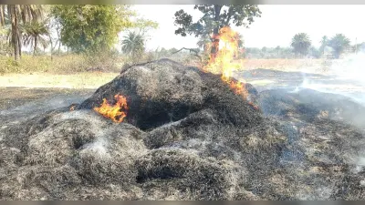 Bokaro News: खलिहान में लगी आग, हजारों का नुकसान