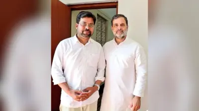 कांग्रेस नेता अनुपम ने राहुल गांधी से की मुलाकात