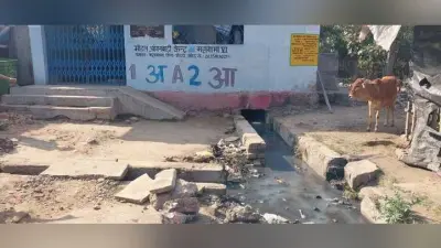 महागामा नगर पंचायत चुनाव : मतदान केंद्रों की बुनियादी सुविधाओं में खामियां