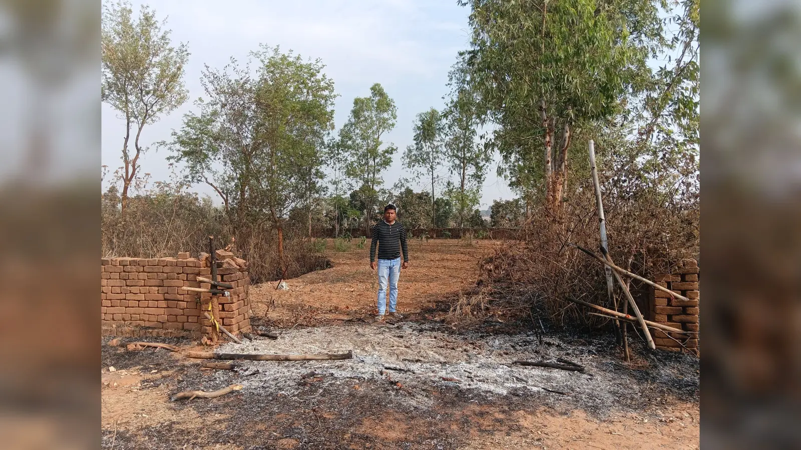 Giridih News :असामाजिक तत्वों ने बागवानी में लगायी आग, पौधे झुलसे