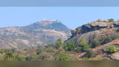 मंदार तराई में ‘मोर अभ्यारण्य’ का सपना अधूरा, मोरों की मौत के बाद ठंडे बस्ते में गयी योजना