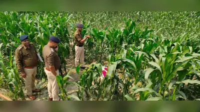 धुरियाही में वृद्ध का मिला शव, जांच में जुटी पुलिस