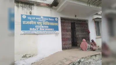 .सिरिंज व निडिल के इंतजार में रुका है पशुओं के एफएमडी का टीकाकरण