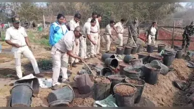 Chaibasa News : 950 लीटर देसी शराब नष्ट