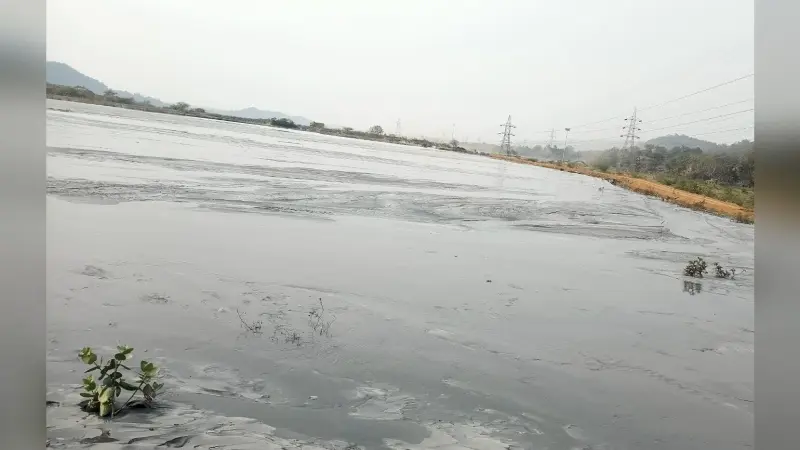 Bokaro News : छाई ढुलाई ठप, सीटीपीएस प्रबंधन की परेशानी बढ़ी