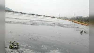 Bokaro News : छाई ढुलाई ठप, सीटीपीएस प्रबंधन की परेशानी बढ़ी
