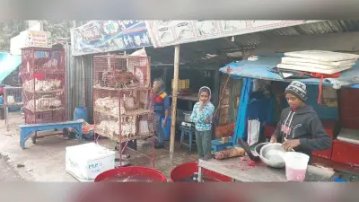 शहर में बिना लाइसेंस नहीं नहीं बेच पाएंगे मीट-मछली