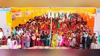 रोजगार मेला में 541 युवाओं ने कराया निबंधन, 359 चयनित