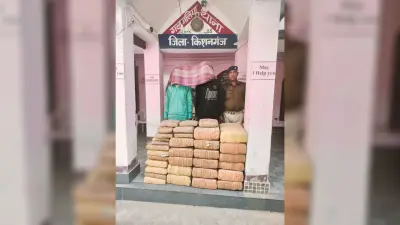39 पैकेट में 246 किलो गांजा बरामद, दो गिरफ्तार