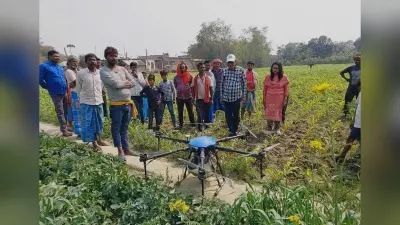 ड्रोन तकनीक से फसलों में छिड़काव असान, किसानों में बढ़ा भरोसा