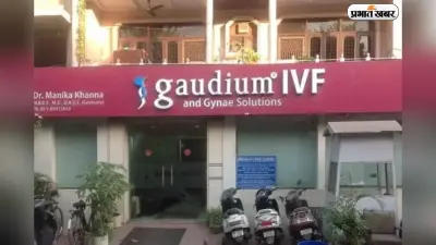 फर्टिलिटी सेक्टर की मार्केट में पहली एंट्री, 20 फरवरी को खुलेगा Gaudium IVF का आईपीओ