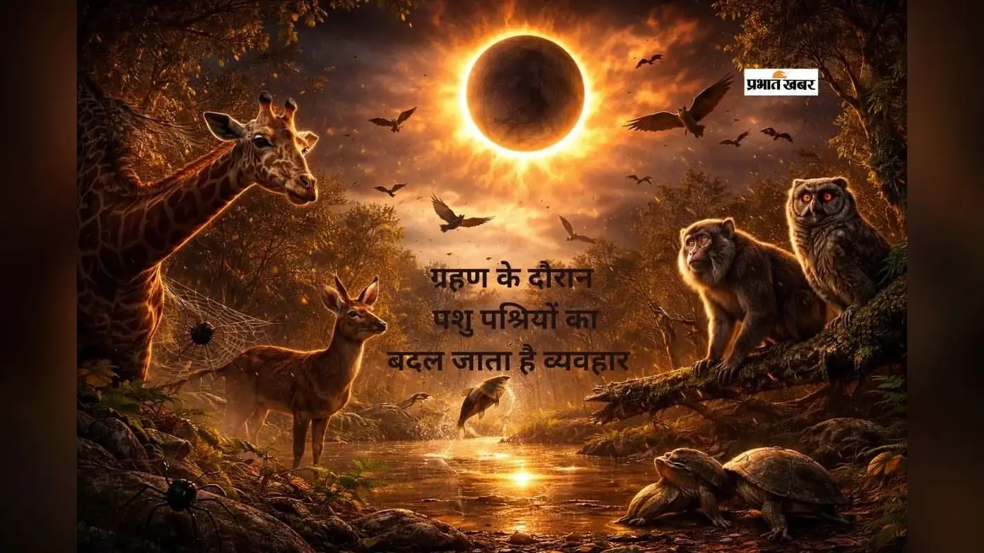 ग्रहण के दौरान प्रकृति में क्या बदलता है? जानें जानवरों और पक्षियों का अजीब व्यवहार