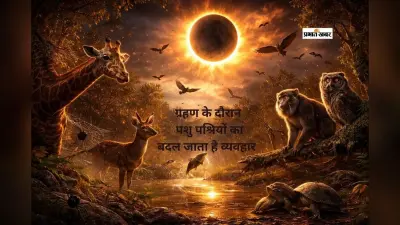 ग्रहण के दौरान प्रकृति में क्या बदलता है? जानें जानवरों और पक्षियों का अजीब व्यवहार
