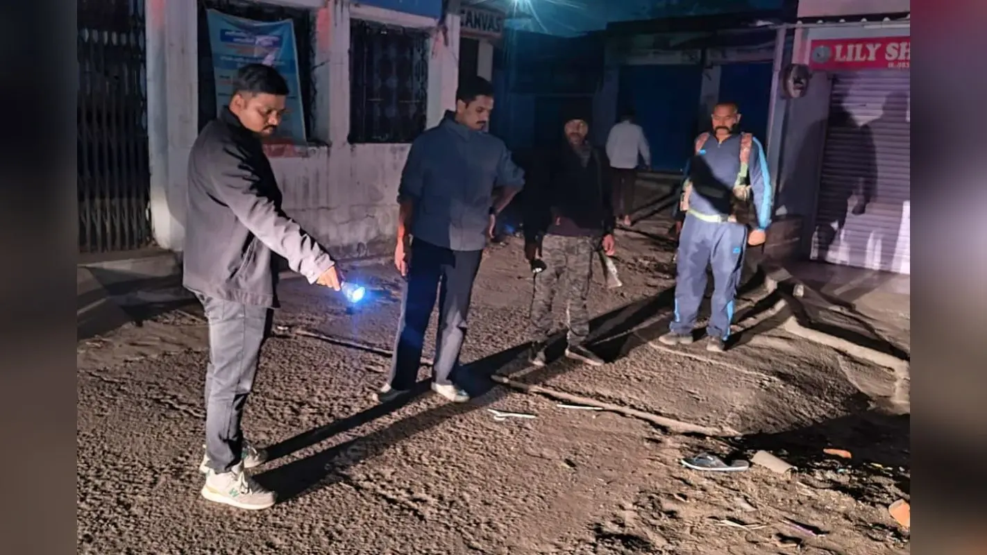 Hazaribagh: चरही घाटी में सड़क हादसे में वन विभाग के दो कर्मियों की मौत, हाथियों को आए थे खदेड़ने