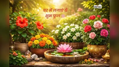 घर में लगाएं सुख-समृद्धि लाने वाले वास्तु अनुसार फूलों के पौधे