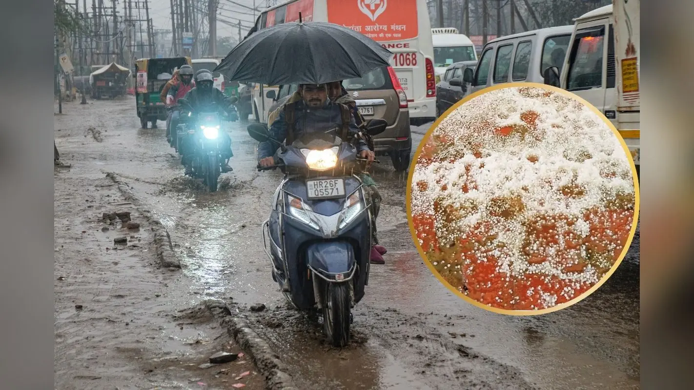MP-राजस्थान में आंधी-बारिश और ओलावृष्टि का अलर्ट, पश्चिमी विक्षोभ और हवाओं के टकराव से बिगड़ा मौसम