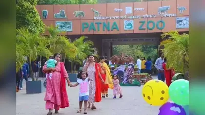 राजगीर से पटना जू में आईं दो शेरनियां, जानिए कब से कर सकेंगे ऑनलाइन बुकिंग