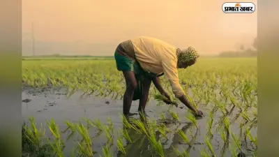 मार्च तक आ सकती है PM-Kisan की अगली किस्त, ऐसे करें चेक