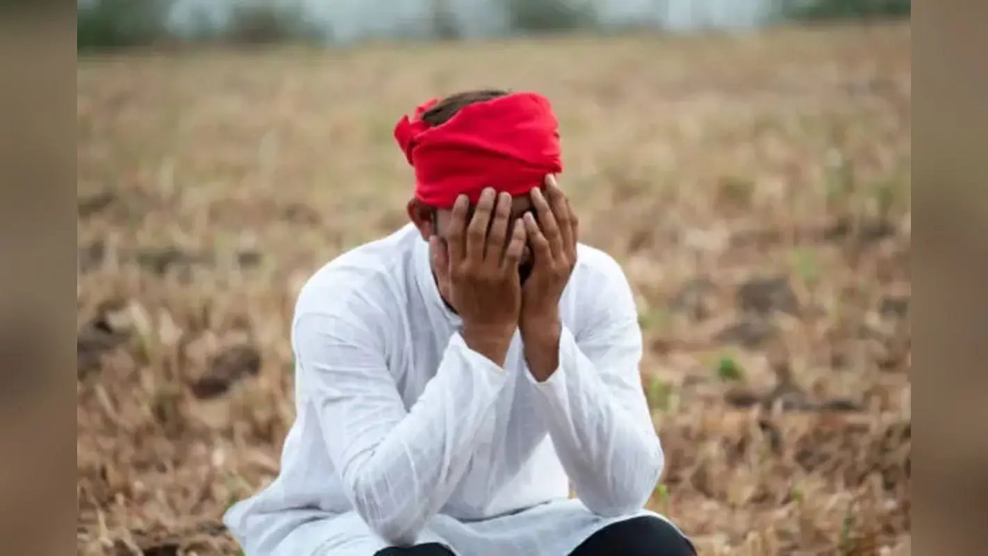 PM Kisan Samman Nidhi: बढ़ सकते हैं पीएम-किसान के पैसे ? बजट से किसानों के लिए बड़ी उम्मीद