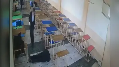 पंजाब: तरन तारन के लॉ कॉलेज में छात्र ने क्लासमेट को मारी गोली, फिर खुद को भी उड़ाया