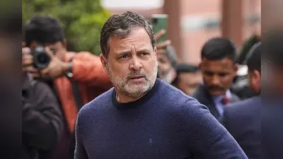 Budget 2026 : कल कहेंगे भैया…बजट पर किये गये सवाल पर बोले राहुल गांधी
