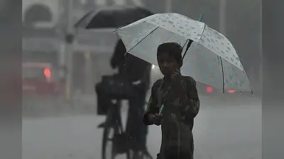 Weather Forecast : इन राज्यों में होगी बारिश, 9 फरवरी तक का आया वेदर अपडेट