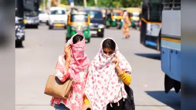 होली से पहले चढ़ेगा पारा, 35 डिग्री सेल्सियस तक पहुंचेगा तापमान, जानें अगले 48 घंटे कैसा रहेगा मौसम