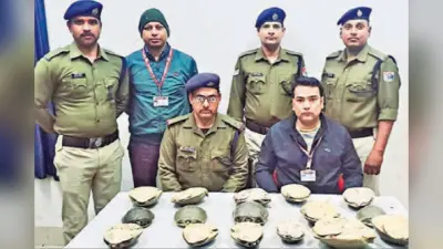 दून एक्सप्रेस से 16 पीस कछुआ बरामद, वन विभाग को सौंपा गया