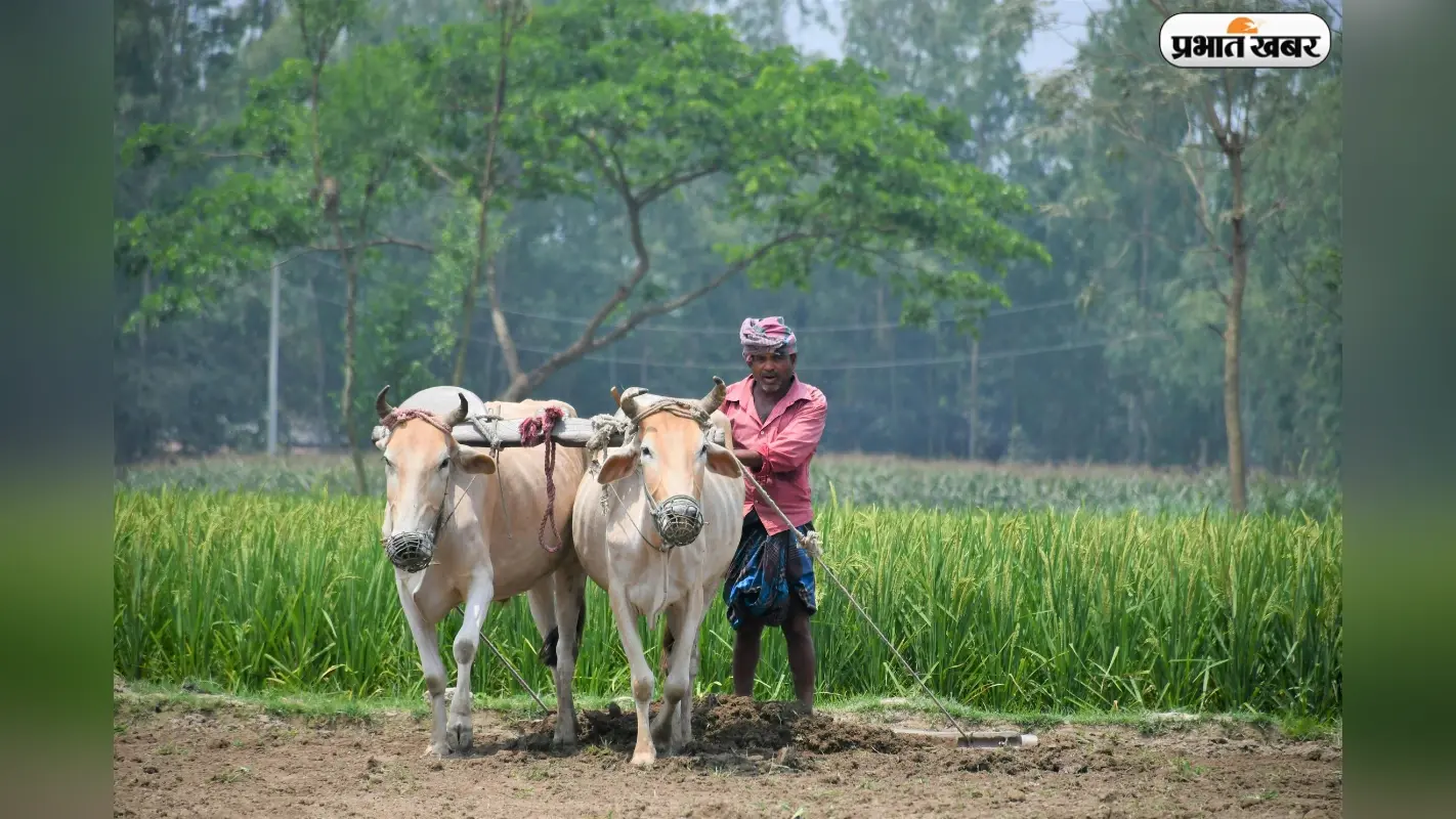 MSME सेक्टर को मिला करोड़ों का फंड, 1 लाख युवाओं को हर साल उद्यमी बनाने की तैयारी