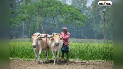 बिजली के बुनियादी ढांचे में बड़ा सुधार, यूपी बजट में भारी निवेश का ऐलान