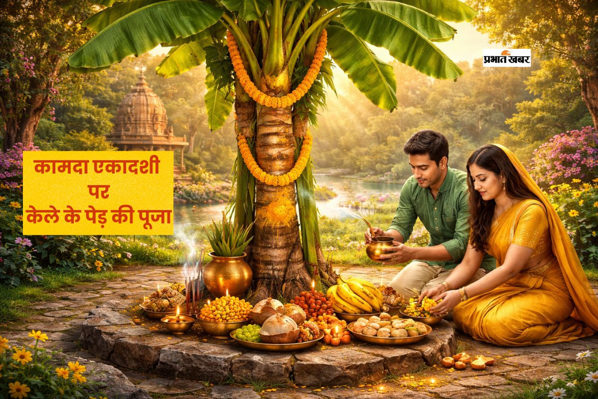 कामदा एकादशी पर केले के पेड़ का है खास महत्व, ग्रह दोष हो सकते हैं शांत