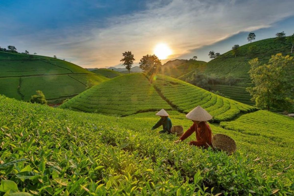 Munnar
