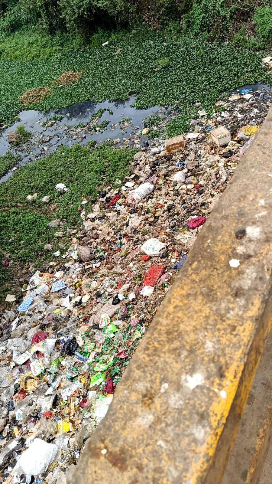 अतिक्रमण की भेंट चढ़ रही जमुआ जोर, अस्तित्व पर मंडरा रहा खतरा