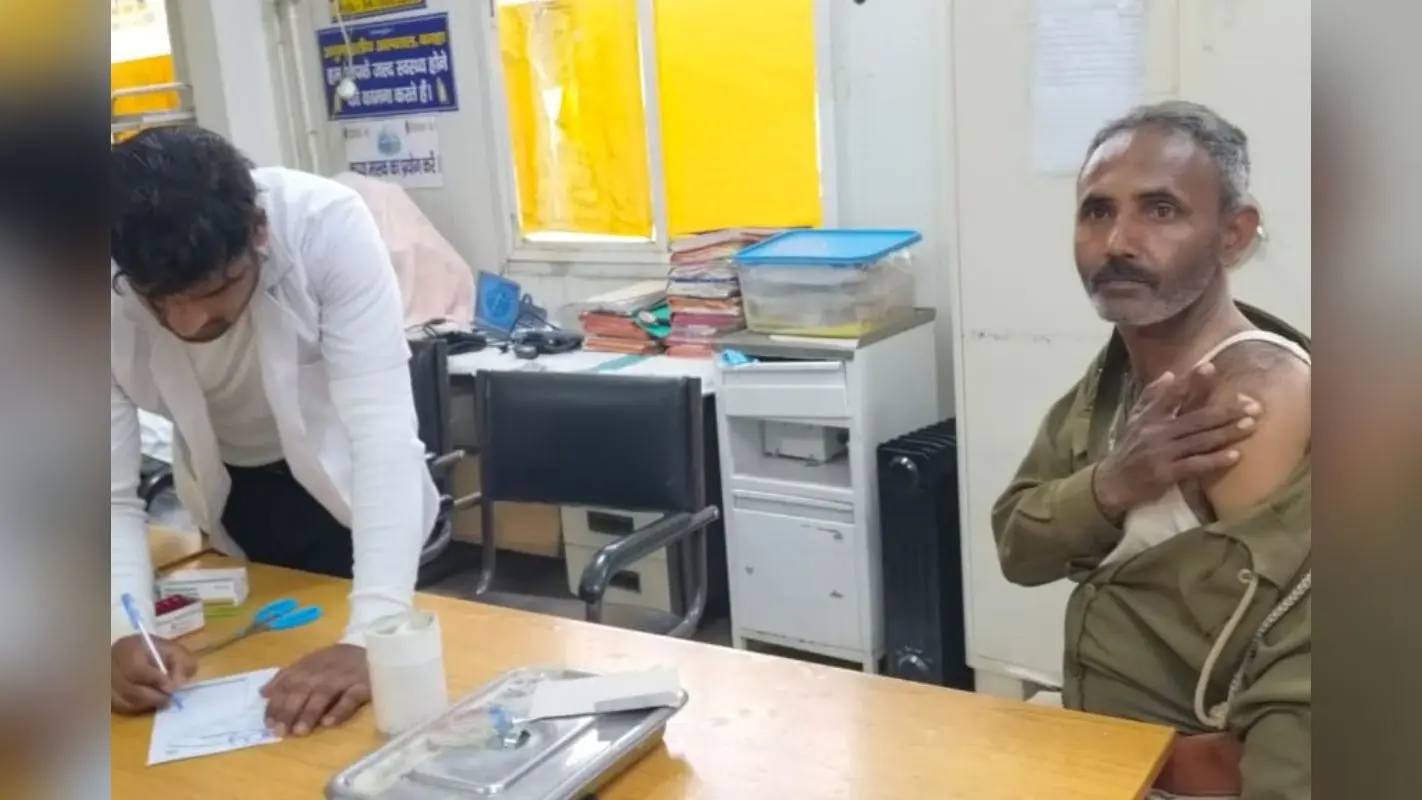 बिहार के इस जिले में पागल कुत्ते ने मचाया आतंक, 12 घंटे में 60 लोग पहुंचे अस्पताल