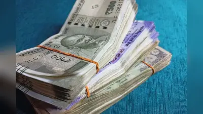 गांव में रहते हैं तो जल्द शुरू करें ये 3 काम, हर महीने होगी बंपर कमाई