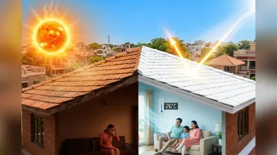 घर की छत पर लगाएं ये खास पेंट, चिलचिलाती गर्मी में भी कमरा रहेगा 5 डिग्री ठंडा